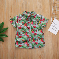 uploads/erp/collection/images/Baby Clothing/jiashunfoshan/XU0406765/img_b/img_b_XU0406765_1_q94Wc2mvfM5OOtdhJlEIMRwH0TUWlqR2